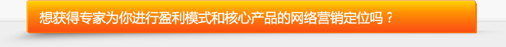 營銷專家免費為您進行盈利模式和核心產品的網絡營銷定位