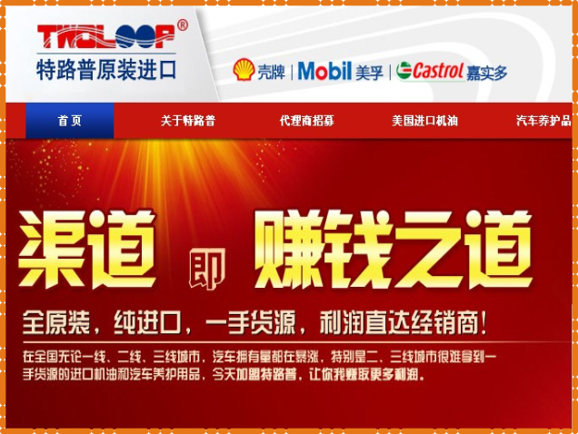 項目成功案例