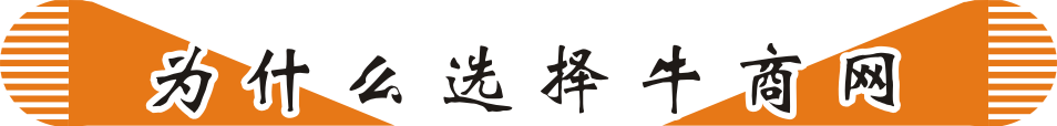 網絡營銷方案