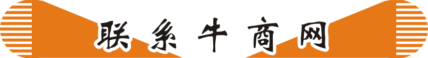 網絡營銷解決方案