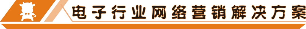電子行業網絡營銷解決方案