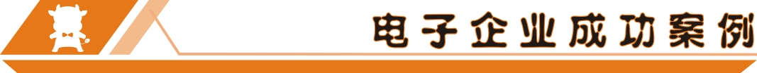 電子企業成功案例