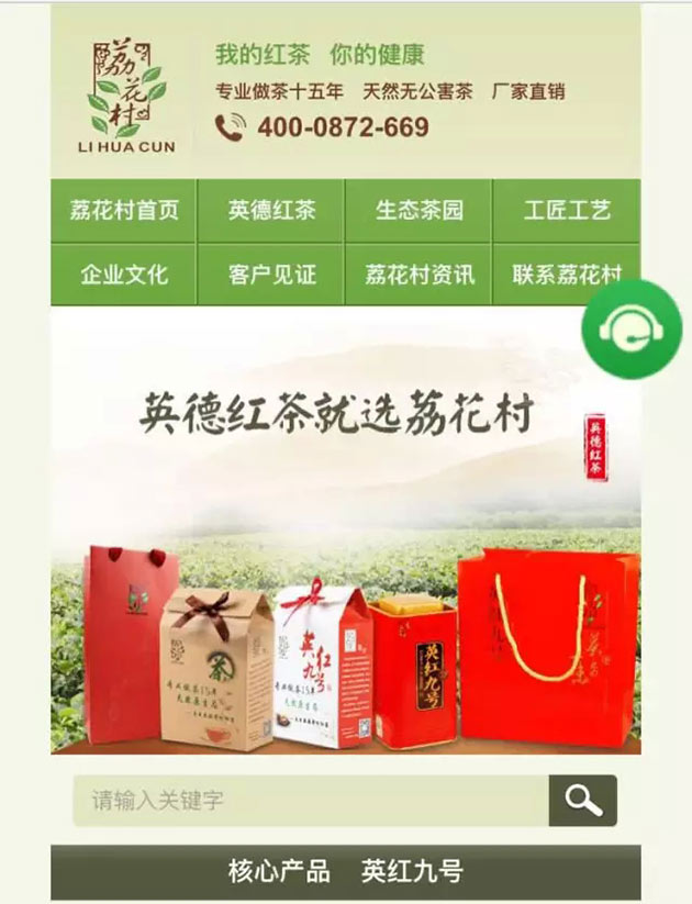 荔花村手機營銷型網站首頁首屏