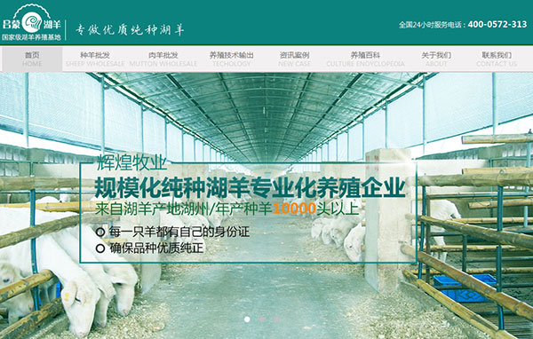 輝煌牧業營銷型網站首屏截圖