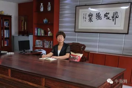嵩陽煤機銷售總監李素香