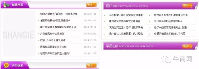 網站案例