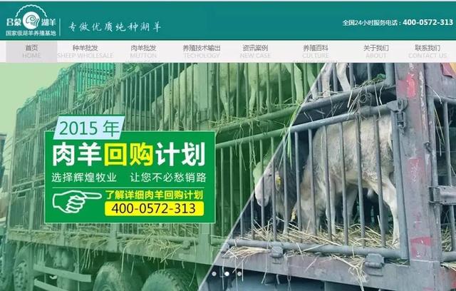 輝煌牧業(yè)超級(jí)營(yíng)銷型網(wǎng)站首頁(yè)首屏截圖