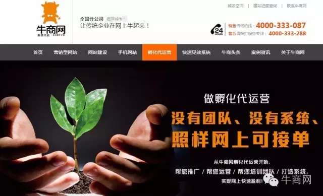 牛商網孵化代運營項目