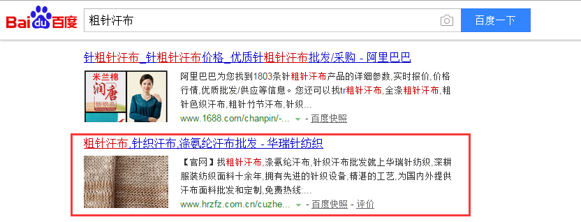 網站排名情況