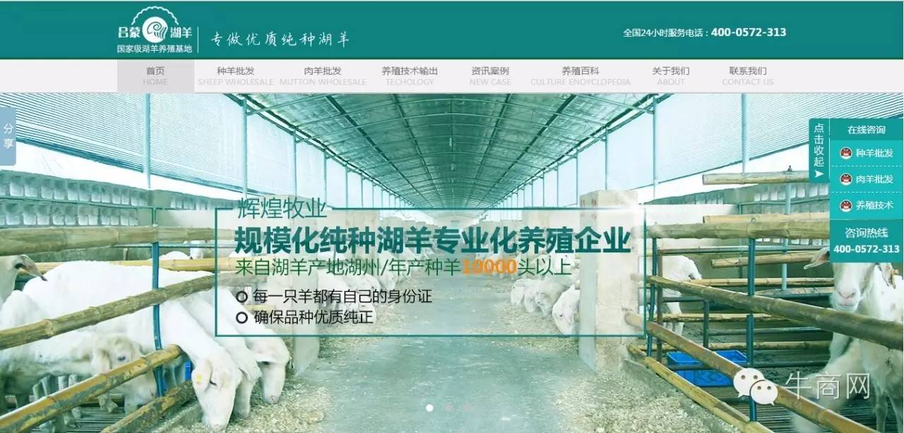 輝煌牧業湖羊養殖、湖羊批發營銷型網站首頁