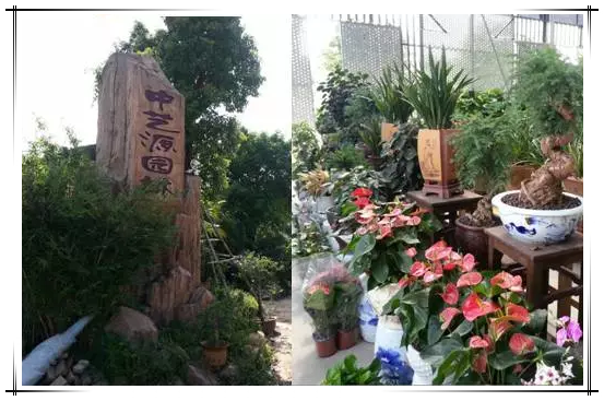 中藝源園林