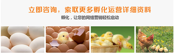 網站運營