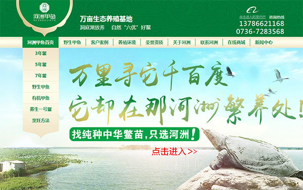 營銷型網站案例