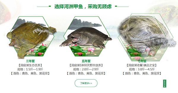 營銷型網站案例