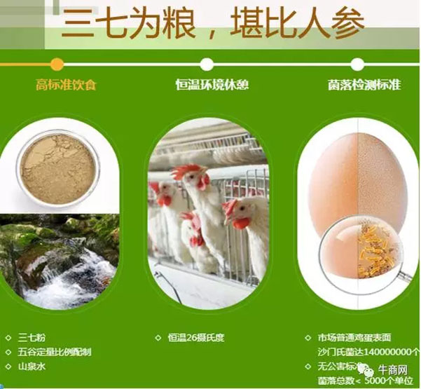營銷型包裝的客戶產品，三七雞蛋