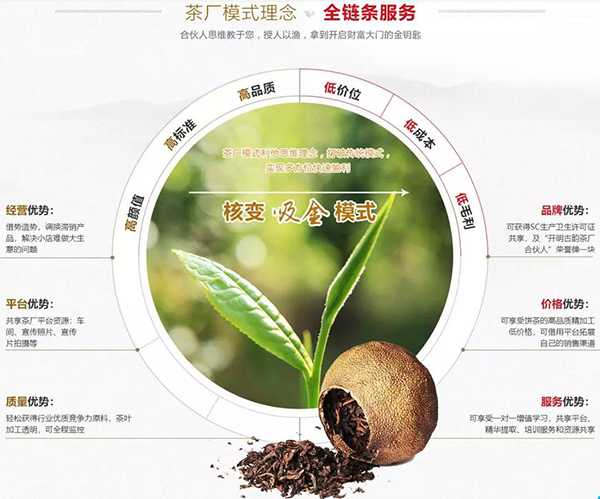 開明古韻優勢