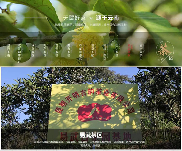 開明古韻產品種類