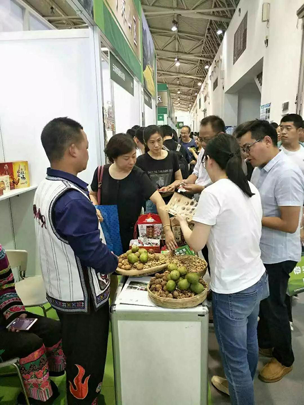 云南薄殼核桃參展現(xiàn)場(chǎng)