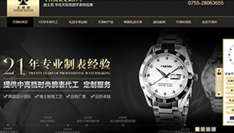 深圳天澤時科技營銷型網站案例