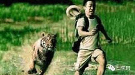 賺錢還是倒閉？互聯網轉型如何跑贏競爭對手？