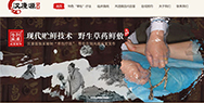 醫院網站建設方案，漢康源另辟蹊徑“掘金”