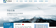劉潭服裝 OEM營銷型網站的賺錢之道
