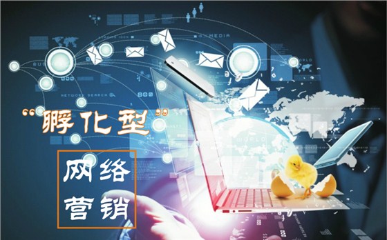 牛商網(wǎng)孵化型網(wǎng)絡(luò)營銷