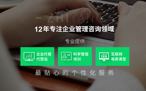 致揚企業顧問-營銷型網站案例展示