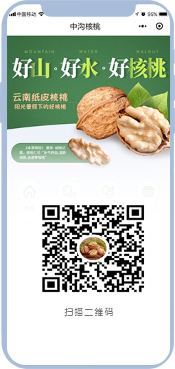 云南薄殼核桃