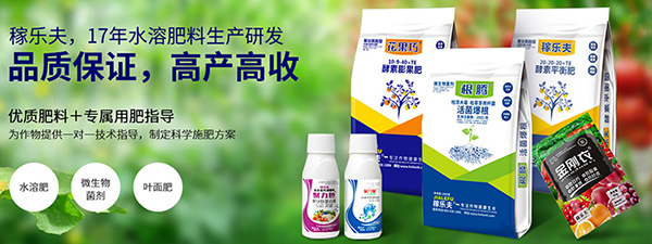 河南恒信農化有限公司-營銷型網站案例展示