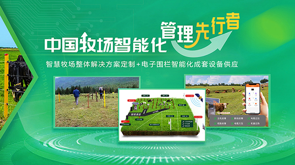北京倍特雙科技發展有限公司營銷型網站建設進行中