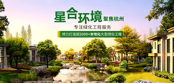 杭州星合環(huán)境工程有限公司營(yíng)銷型網(wǎng)站建設(shè)進(jìn)行中