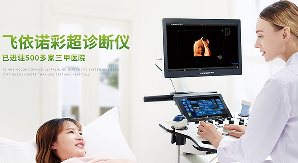 飛依諾科技（蘇州）有限公司營銷型網站建設進行中