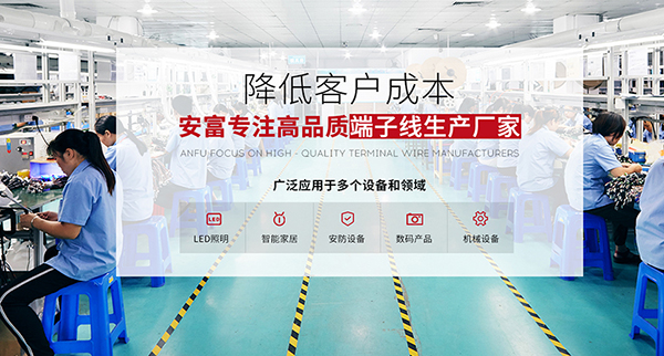 廣東省安富電器有限公司營銷型網站建設進行中