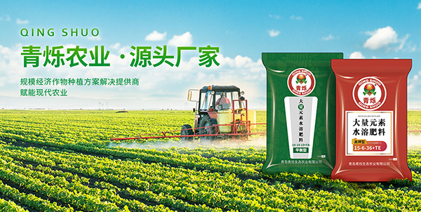青島青爍生態(tài)農(nóng)業(yè)有限公司營(yíng)銷型網(wǎng)站建設(shè)進(jìn)行中