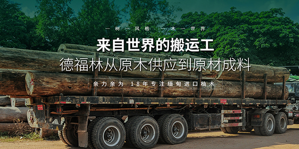汕頭林氏木業有限公司營銷型網站建設進行中