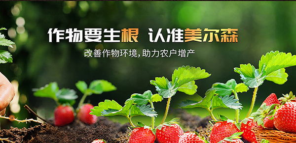 河南美爾森農(nóng)業(yè)科技有限公司營(yíng)銷型網(wǎng)站建設(shè)進(jìn)行中