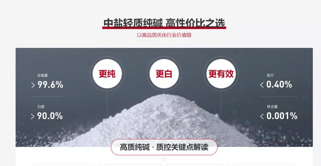 真實記錄大型央企的觸網之路