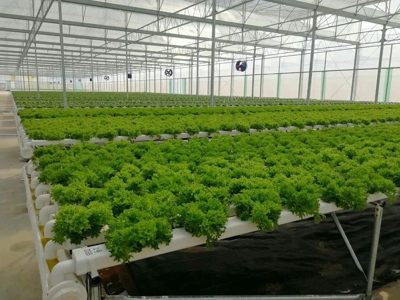 農業怎么做短視頻？這家企業一個月獲客100+！